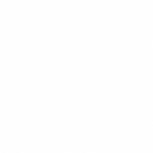 Website Preloader
